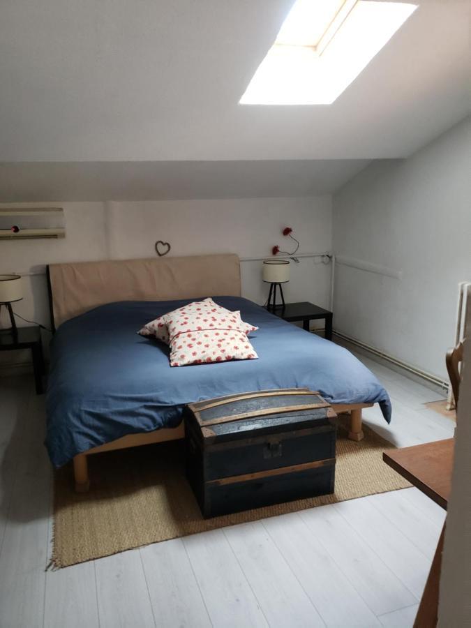 Chambre Dans Une Grande Maison Entre Canal Du Midi Et Centre Ville เบซิเยร์ ภายนอก รูปภาพ