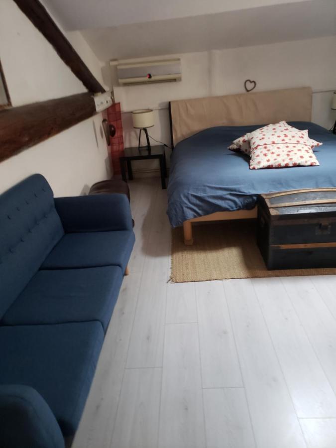 Chambre Dans Une Grande Maison Entre Canal Du Midi Et Centre Ville เบซิเยร์ ภายนอก รูปภาพ